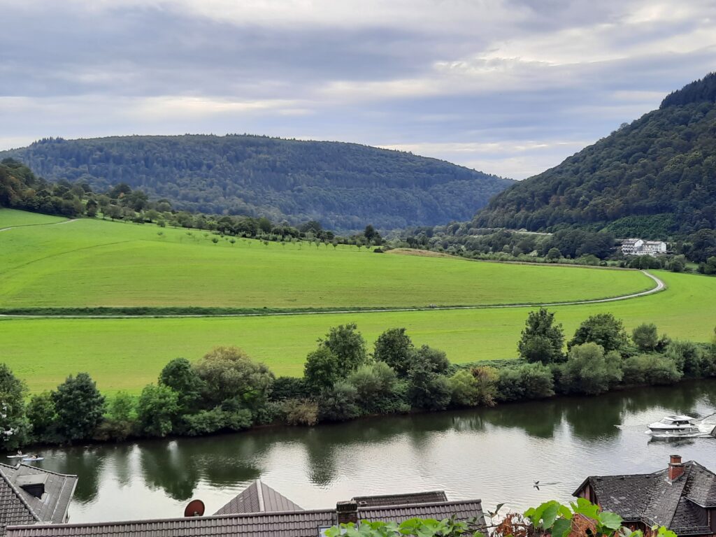 Blick auf das neckartal von Neckarsteinach