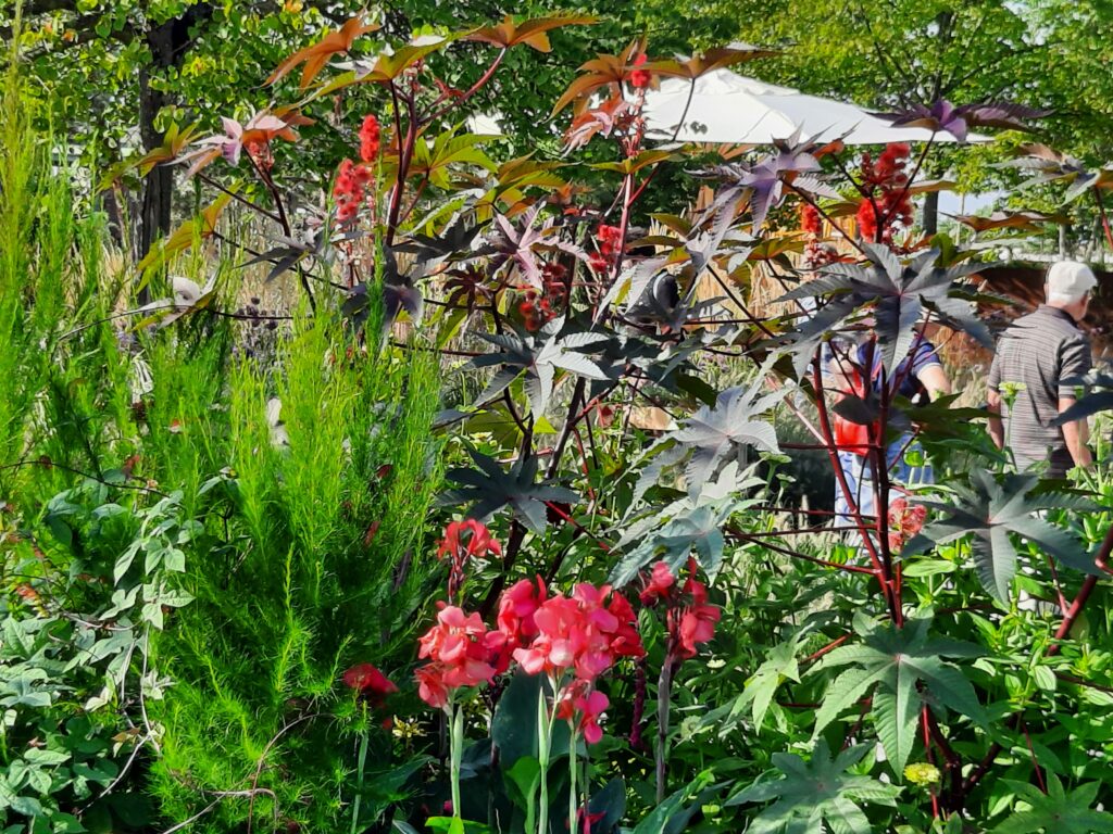 Blumenpracht Bundesgartenschau mannheim